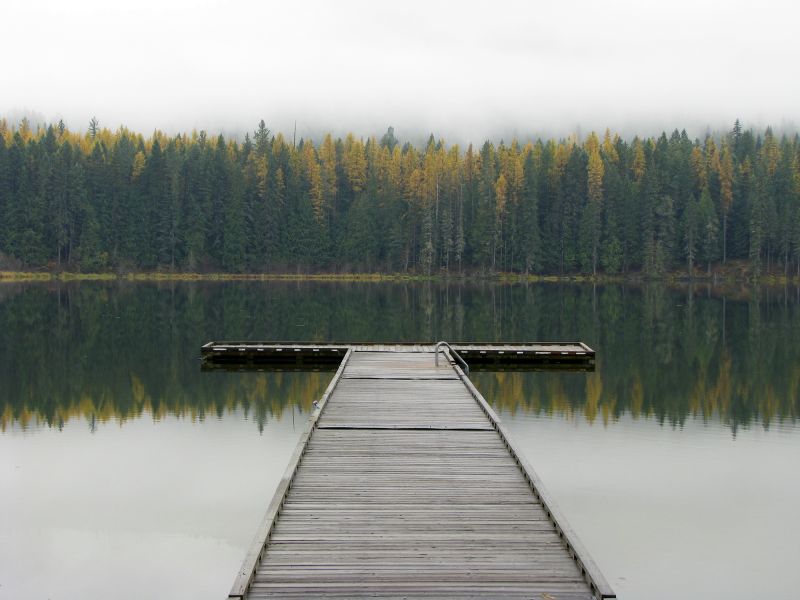 Dock Construction in Alpharetta, GA